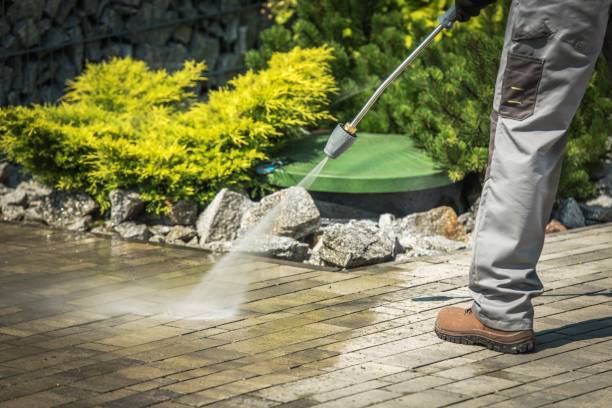Animal Enclosure Cleaning in Ashton Sandy Spring, MD